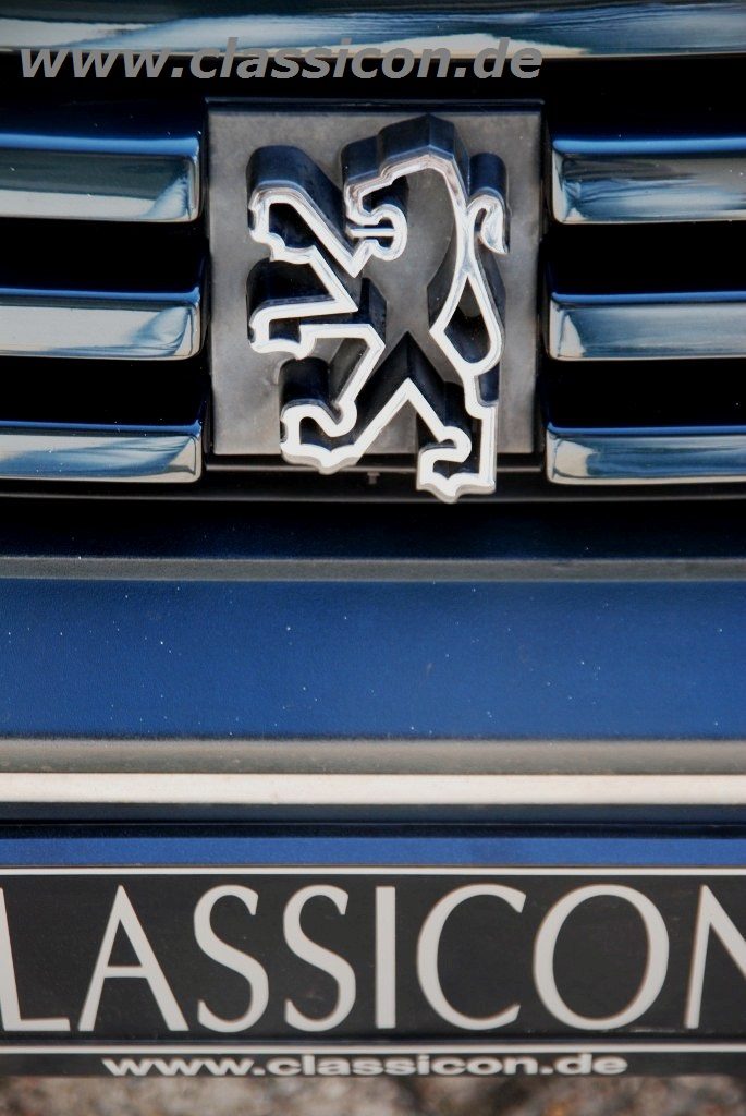 1992 - PEUGEOT 205 GTI Gentry - 16