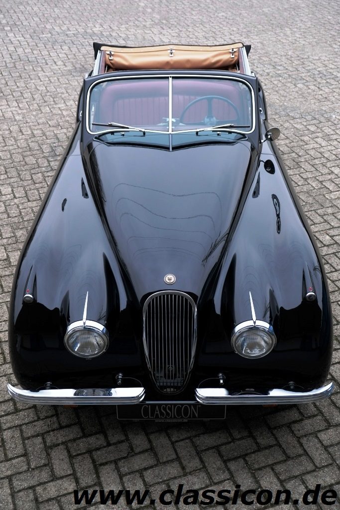 1954 - JAGUAR Xk 120 DHC - 13